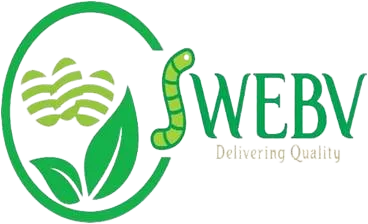 Logo 4