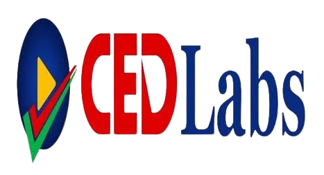 Logo 1